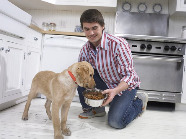 Man Giving His Dog a Bowl of Food