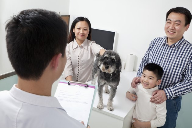 Family with pet dog in veterinarian's office