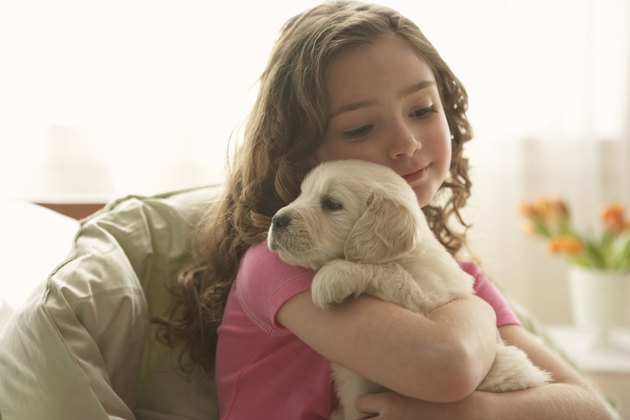 Young girl (8-10) holding dog