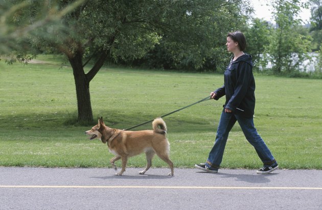 Woman walking her pet dog