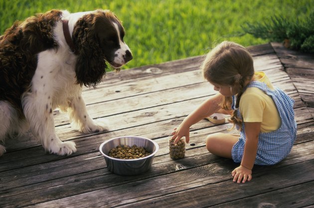 Side profile of a girl feeding her dog