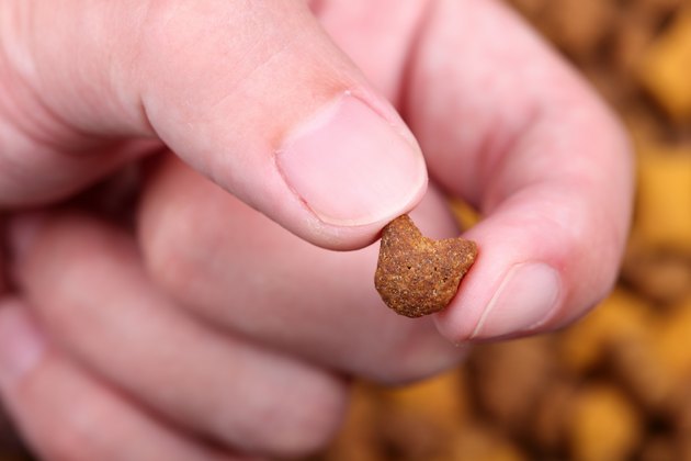Cat food in the fingers