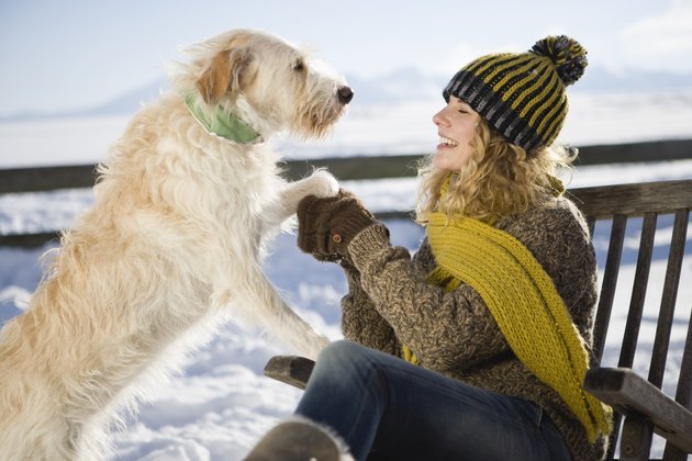 Woman playing with pet dog in snow