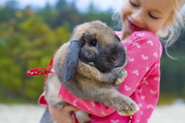 Portrait of beautiful girl with rabbit