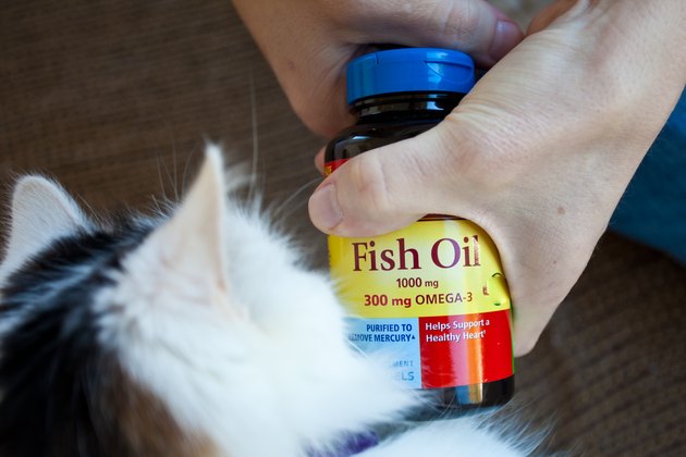 Salmon Oil For Cats (Top Benefits, Cost, Where To Buy & More)
