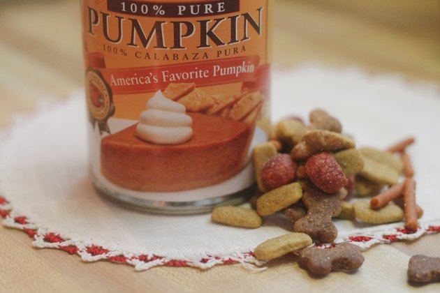 how-to-treat-dog-diarrhea-with-pumpkin-cuteness