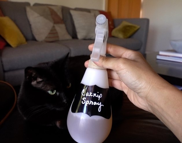 catnip spray diy