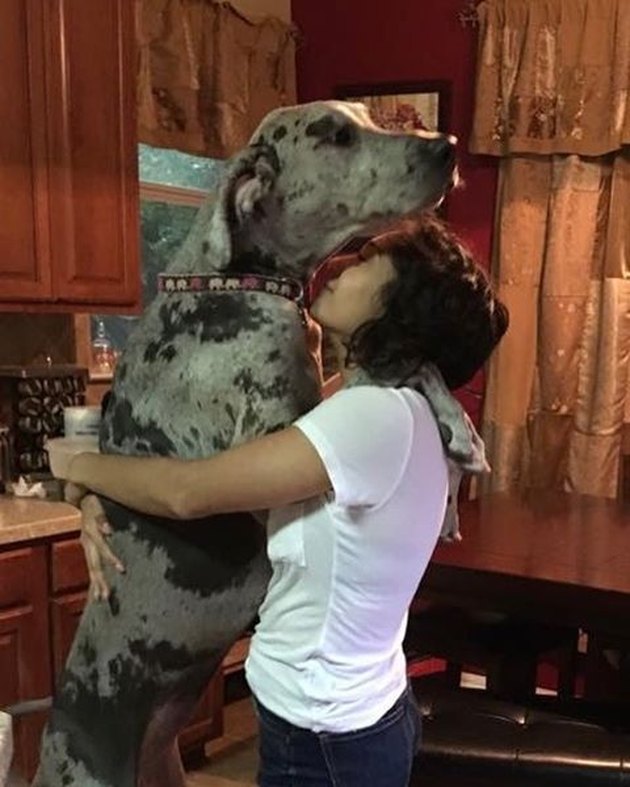 21 Things You'll Understand If You Have A Big Dog | Cuteness