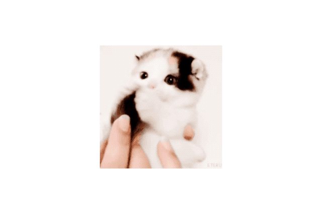 19 Times Cats Were Too Pure For This World
