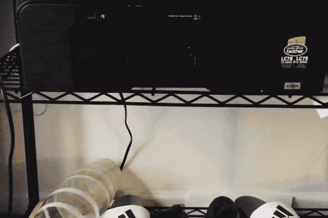 Cats react to printers and fax machines