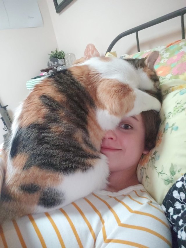 cat named Pinch laying on owner's face