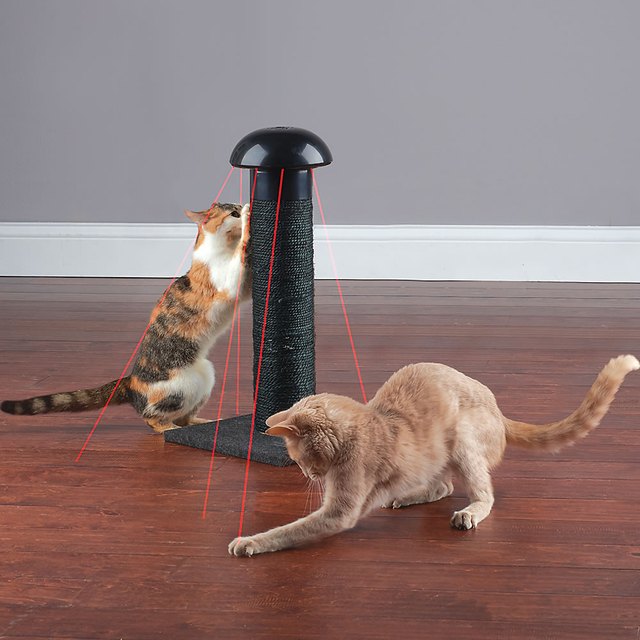 cat scratching post with lasers built in