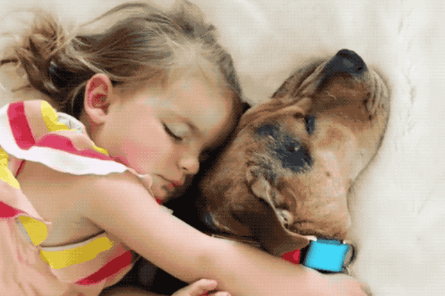 Little girl cuddles with rescued puppy