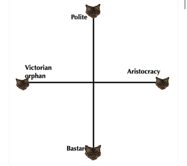 cat self identifies as all personalities on axes