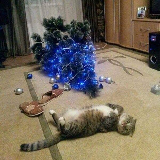 18 More Cats Vs Christmas Trees For Your Holiday Horror | Cuteness