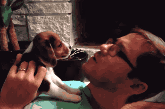 Just 22 Adorable Puppies Howling For Their First Time
