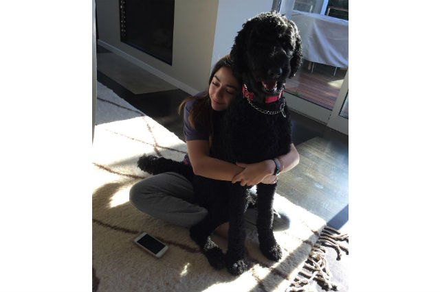 19 Big Dogs Who Still Think They’re Little Puppies