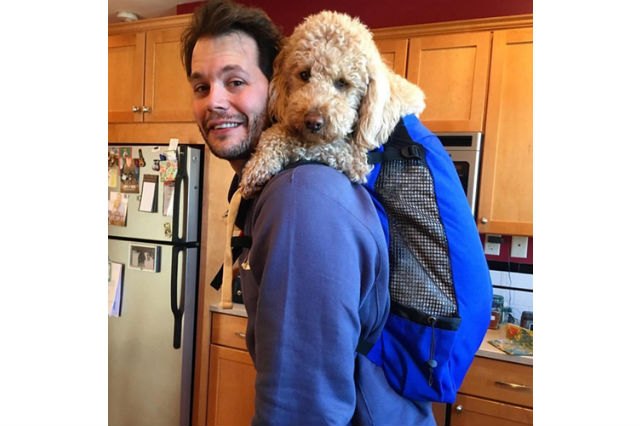 Dogs in backpacks