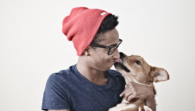 Do Dogs Love Humans More Than Cats Do Cuteness do-dogs-love-humans-more-than-cats-do-cuteness