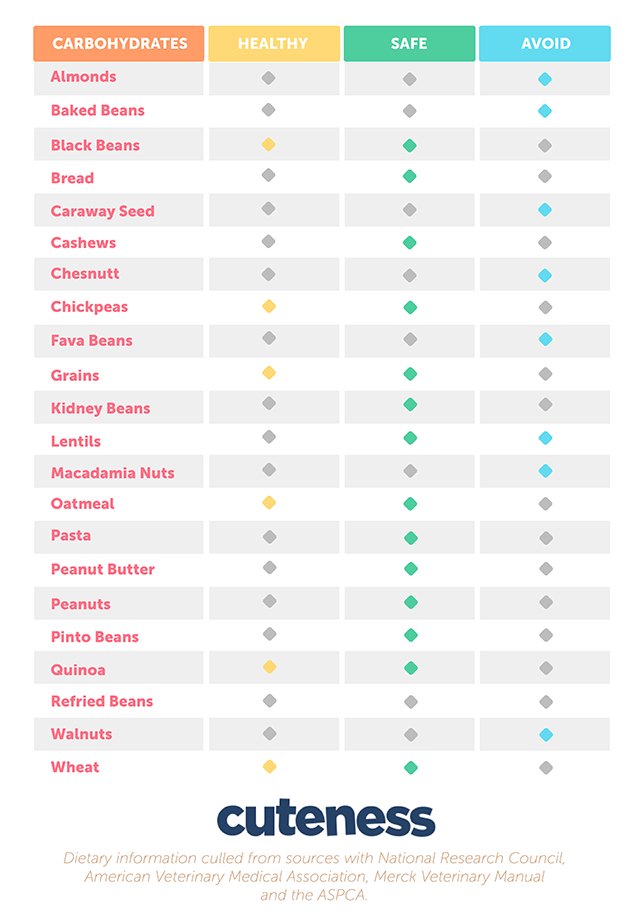 Infographic of grains, legumes and nuts that dogs can and cannot eat