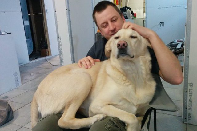 This dog is purring like a cat!