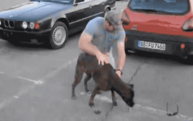 This dog is jumping all over its owner in the parking lot.
