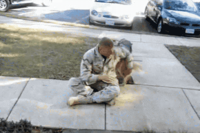 A dog welcomes home a soldier.