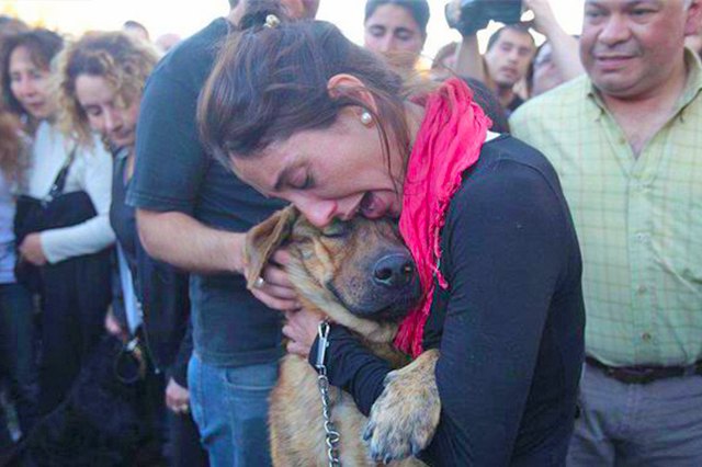 A woman is tearfully hugging a dog.
