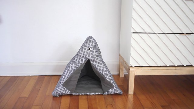 Cat tent
