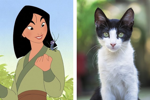 name your pet Mulan