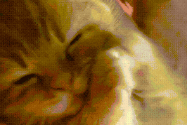 Perfectly Pink Photos Of Kitty Toe Beans