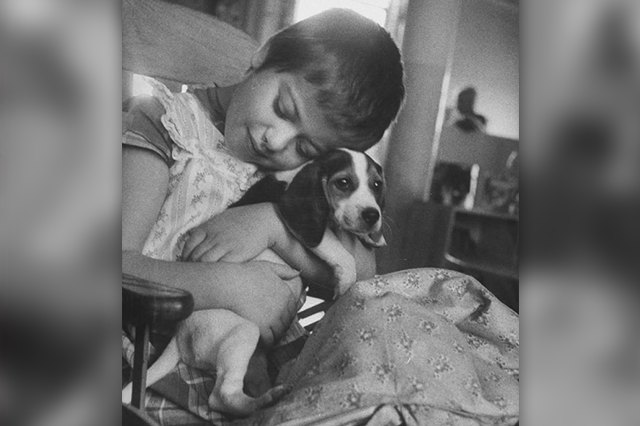 23 Therapy Dogs Who Are Too Pure For This World