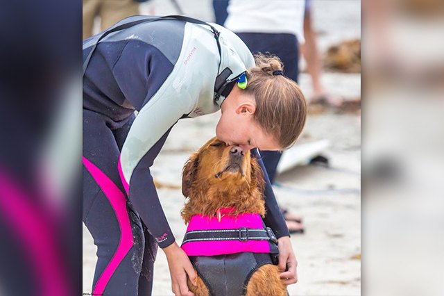 23 Therapy Dogs Who Are Too Pure For This World
