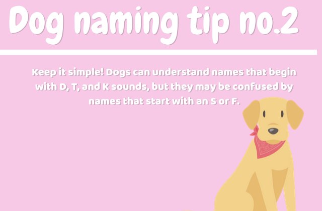 how to name a dog tip