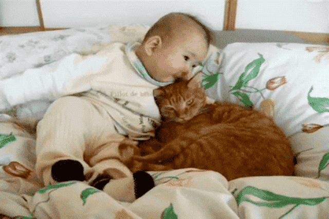 baby kissing orange cat in a bed