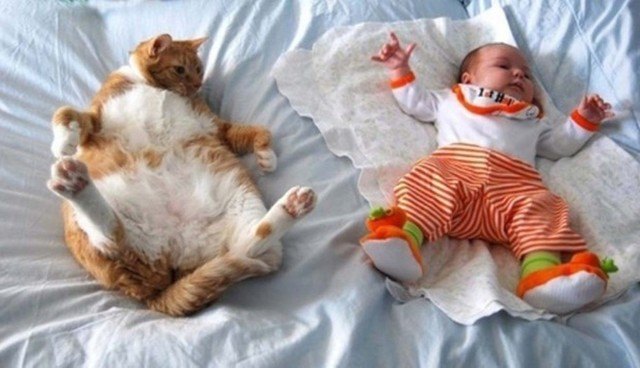 cat and baby lying together on bed