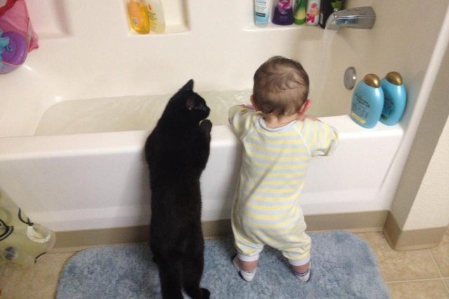 cat and baby looking into bathtub
