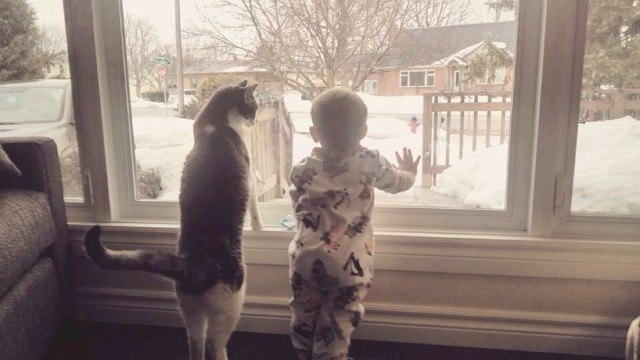 cat and baby looking out window at snow