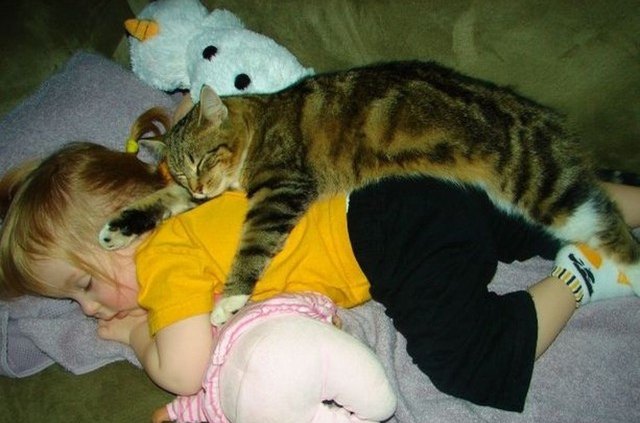 baby and cat sleeping in a pile of stuffed animals