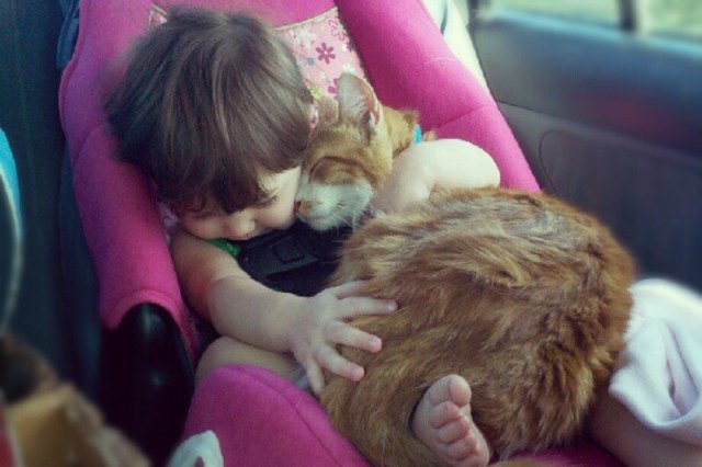 cat and baby cuddling in a car seat