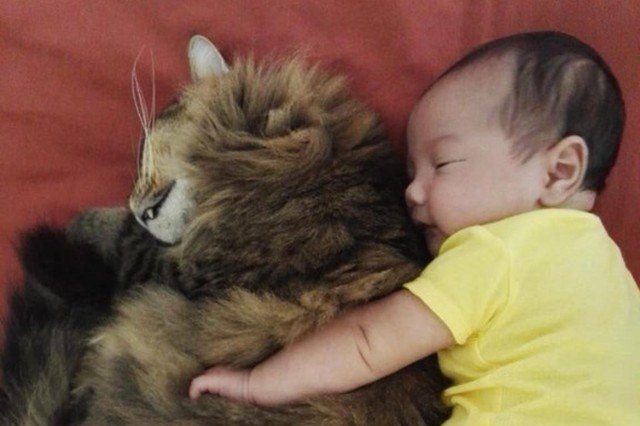 cat and baby cuddling