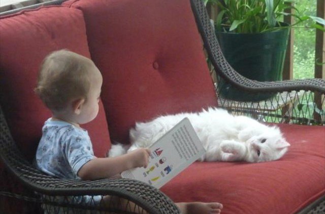 baby reading to white cat
