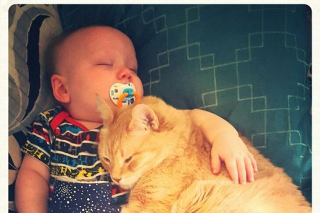 baby and cat taking a nap together