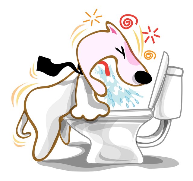 How to Determine What I Can Give My Dog to Stop Vomiting | Cuteness