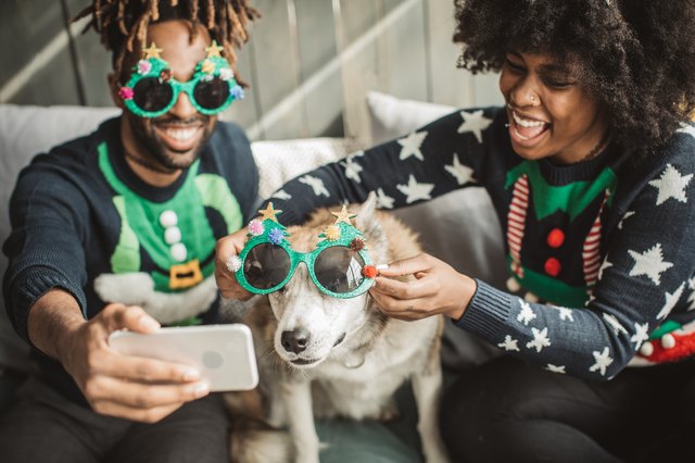 two people celebrating Christmas with their dog