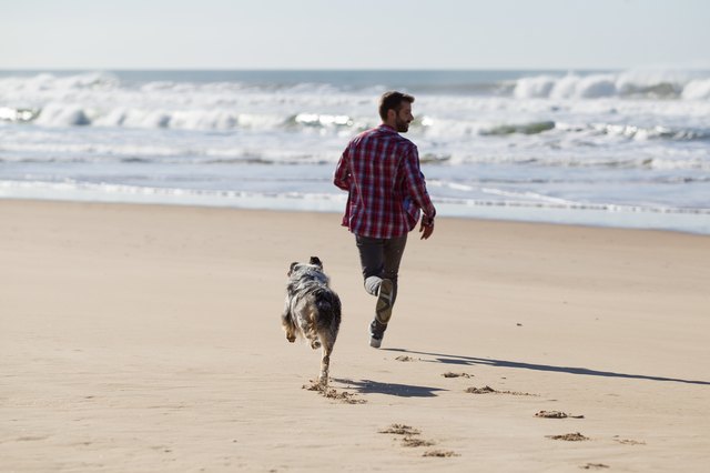 Man running with dog on beach