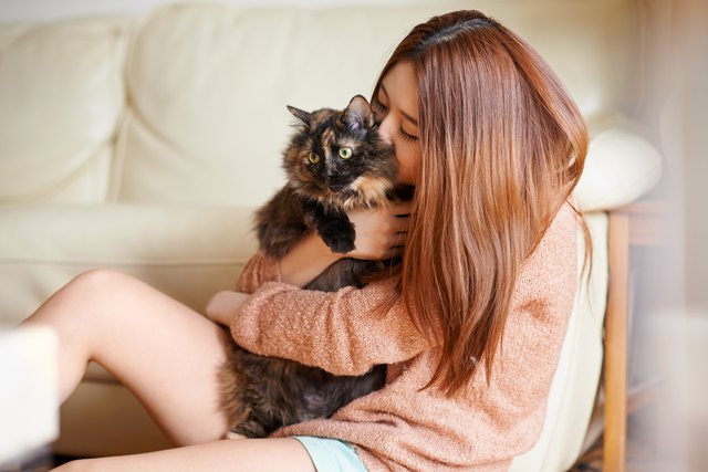 Caturday is my favorite day of the week