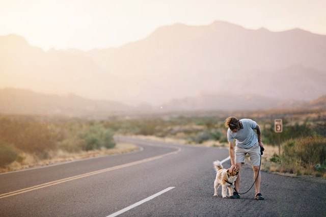 Man walking dog on road at sunset in desert landscape