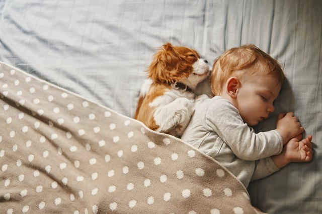baby and his puppy sleeping peacefully