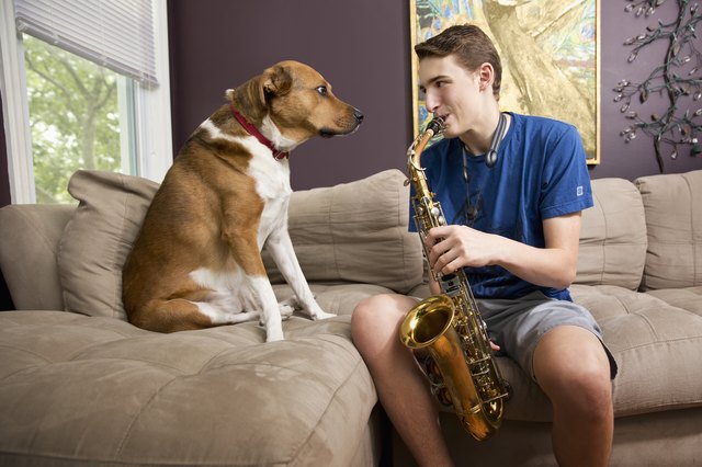 Teenage boy playing saxophone next to dog